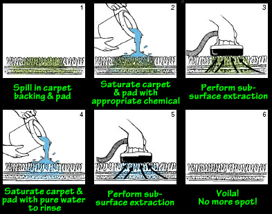 Pet Stain Removal - Water Claw Subsurface Extractor